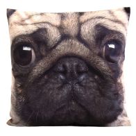 See more information about the Photographic Animal Cushion 45 x 45cm (Pug Dog)